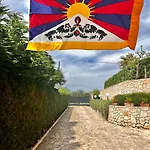 Surya, Scoprendo L'oriente