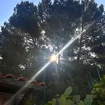 Surya, Scoprendo L'oriente Selva Di Fasano