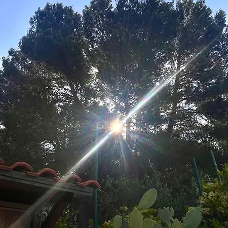 Surya, Scoprendo L'oriente Selva Di Fasano